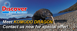 discoveryholiday.com