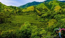 17-islands-riung-marine-park-flores-8.jpg