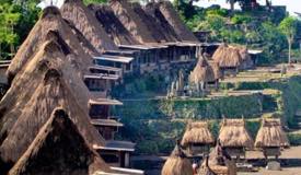 bena-village-flores-east-nusa-tenggara-10.jpg