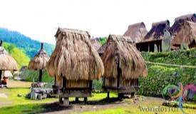 bena-village-flores-east-nusa-tenggara-2.jpg