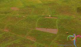 cancar-ricefield-manggarai-east-nusa-tenggara-3.jpg
