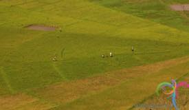 cancar-ricefield-manggarai-east-nusa-tenggara-4.jpg