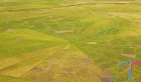 cancar-ricefield-manggarai-east-nusa-tenggara-5.jpg