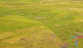 cancar-ricefield-manggarai-east-nusa-tenggara-6.jpg