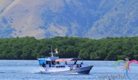 komodo-national-park-indonesia-2.jpg
