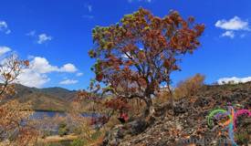 lembata-island-east-nusa-tenggara-1.jpg