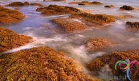 penggajawa-beach-ende-east-nusa-tenggara-2.jpg