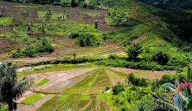 ruteng-flores-east-nusa-tenggara-1.jpg