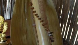 sasando-traditional-music-instrument-indonesia-3.jpg