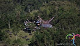 batutumonga-south-sulawesi-3.JPG