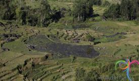 batutumonga-south-sulawesi-4.JPG