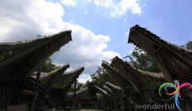 kete-kesu-south-sulawesi-7.JPG