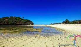 drini-beach-gunung-kidul-yogyakarta.jpg