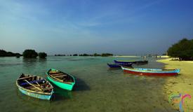 pari-island-kepulauan-seribu-jakarta.jpg