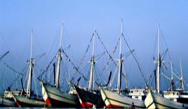 phinisi-boats-at-sunda-kelapa-port-jakarta.jpg