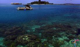 tidung-island-jakarta-indonesia-4.jpg