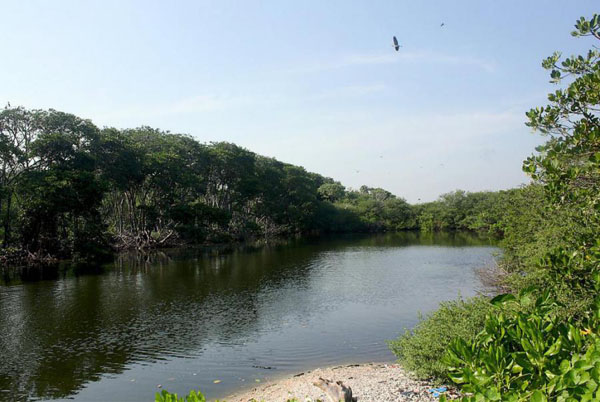 Exploring Rambut Island in Thousand Islands Regency, Jakarta