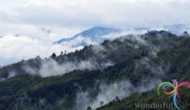 kerinci-seblat-national-park-jambi-1.jpg