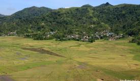 gallery/cancar_spider/cancar-spider-rice-field-manggarai-1.jpg