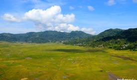 gallery/cancar_spider/cancar-spider-rice-field-manggarai-2.jpg