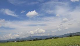 gallery/lembor_rice/lembor-rice-field-manggarai-flores-2.jpg