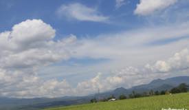 gallery/lembor_rice/lumbung-padi-lembor-manggarai-2.jpg