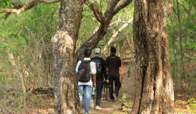 gallery/rinca_island/komodo-island-east-nusa-tenggara-4.jpg