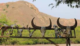gallery/rinca_island/komodo-national-park-indonesia-1.jpg