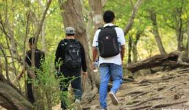gallery/rinca_island/komodo-national-park-indonesia-3.jpg