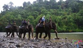 tangkahan-ecotourism-langkat-north-sumatra-2.jpg