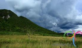 baliem-valley-papua-1.jpg