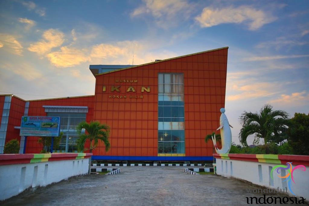 Riau Tourism - Photo Gallery - museum ikan rokan hilir riau