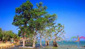 bokori-island-southeast-sulawesi-1.JPG