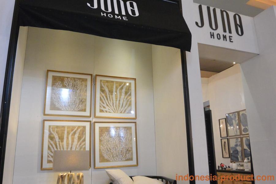 juno-home-03