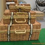 ifex-event-2017-07