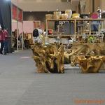 ifex-event-2017-26