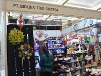Biolina-Trio-Sintesa-bodywork