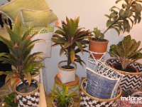 Cayenne-handicrafts