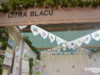 Citra Blacu - decorative stuff