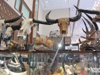 Fantasea - home furnishing