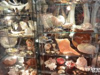 Fantasea - ocean style accessories