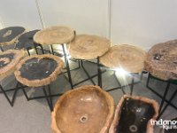Matoa Petrified Wood - interior and exterior design