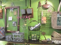 Pailey-Thing-vintage-style