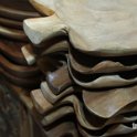 kusuma-jati-gallery-5
