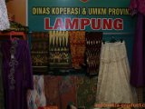elfira-collection-4