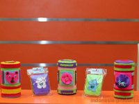 hardiva-collection-4