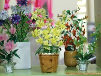 intan-collection-2