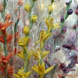 ratna-sari-floral-6