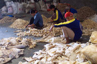 images/link/rambak-cracker.jpg