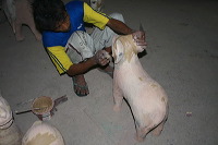 pottery-crafts-malo-10